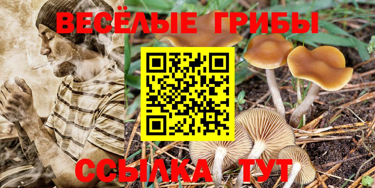 Псилоцибиновые грибы мицелий  Вход с VPN  Саки 